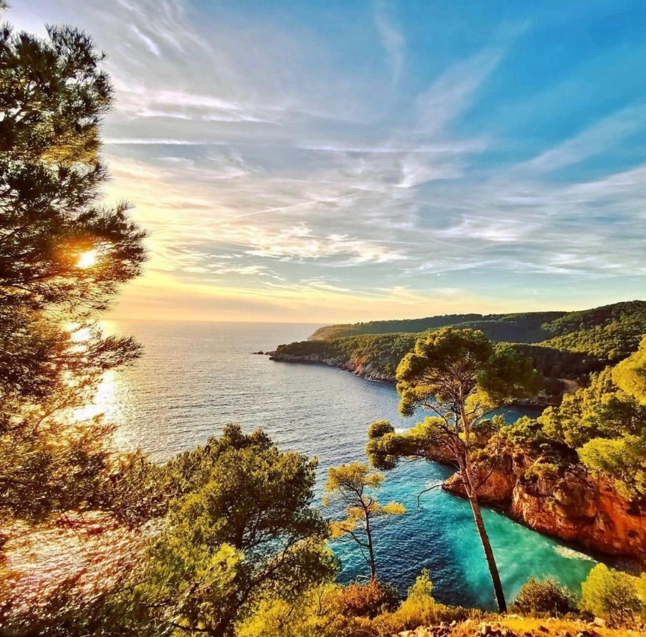 Logement Vue Mer Splendide - Situe A 50 Metres Du Bord De Mer Et 2 Minutes Des Plages - Bandolina Exterior photo