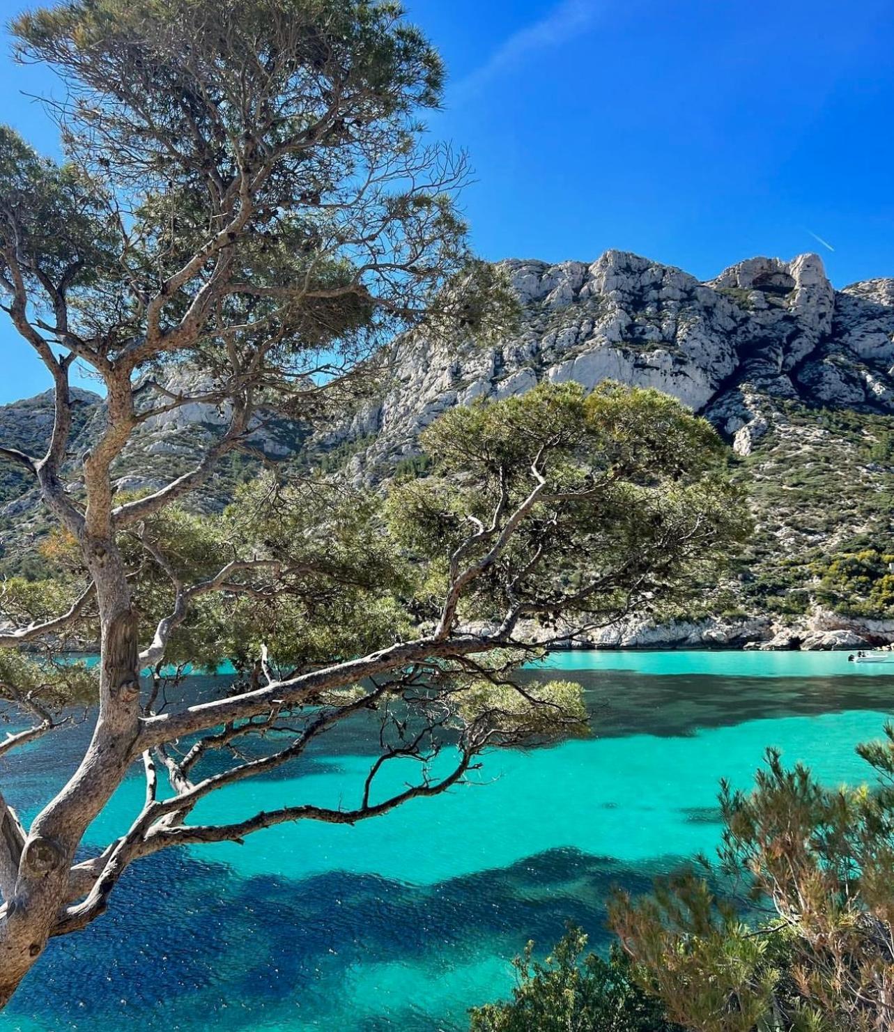 Logement Vue Mer Splendide - Situe A 50 Metres Du Bord De Mer Et 2 Minutes Des Plages - Bandolina Exterior photo