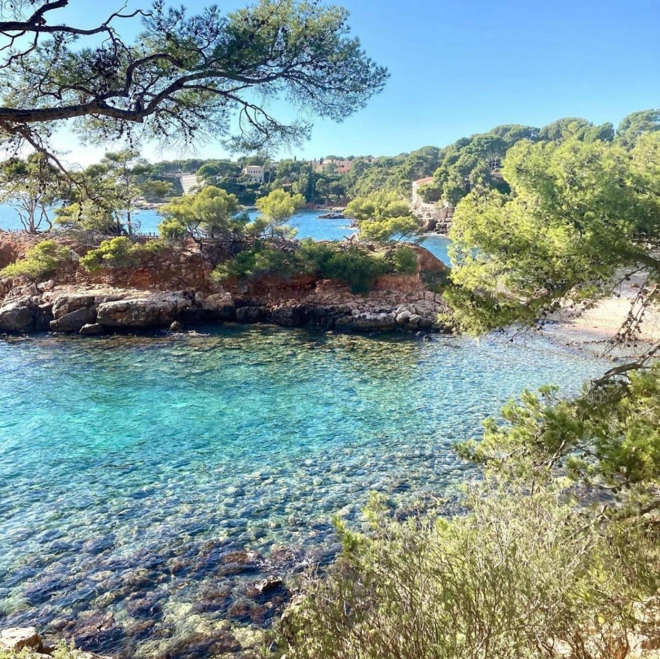 Logement Vue Mer Splendide - Situe A 50 Metres Du Bord De Mer Et 2 Minutes Des Plages - Bandolina Exterior photo